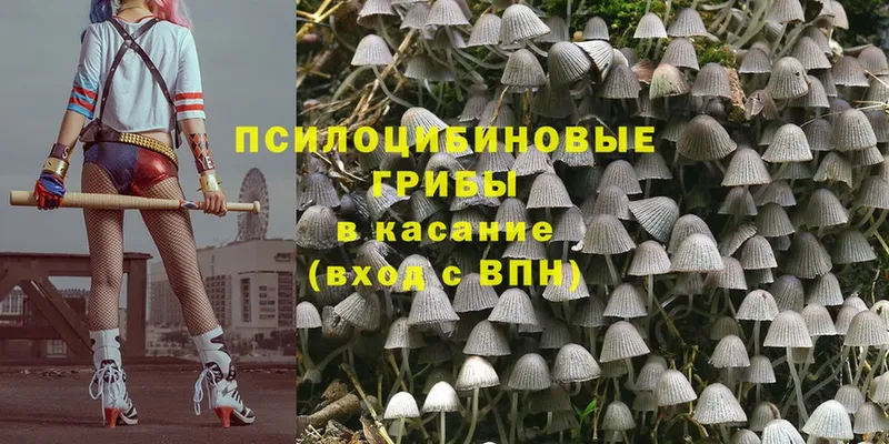 Галлюциногенные грибы MAGIC MUSHROOMS  Алексеевка 